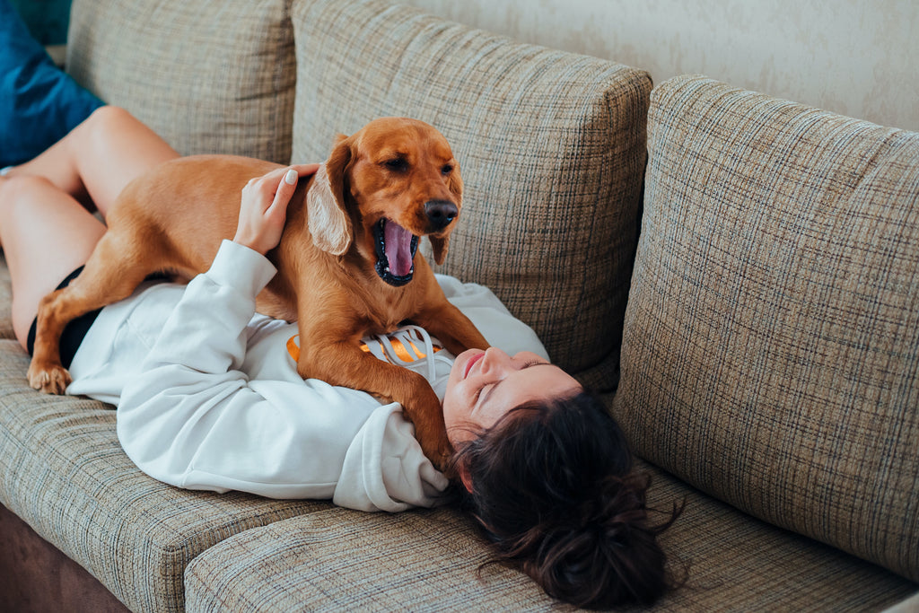Why Your Dog Yawns a Lot and What It Means
