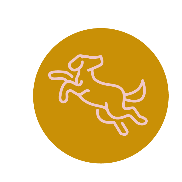 Promotes Mobility